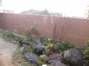 IMG_0570